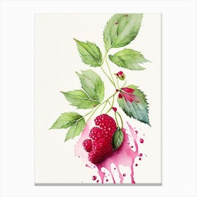 Red Raspberry Herb Minimalist Watercolour 2 Canvas Print