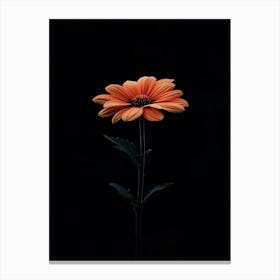 Gerbera Daisy 23 Canvas Print