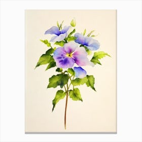 Morning Glory Vintage Flowers Flower Canvas Print