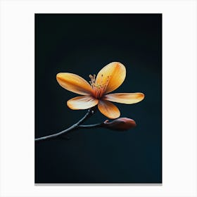 Apricot Flower Canvas Print