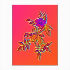 Neon Pink Boursault Rose Botanical in Hot Pink and Electric Blue n.0194 Canvas Print