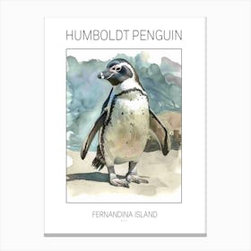 Humboldt Penguin Fernandina Island Watercolour Painting 4 Poster Canvas Print