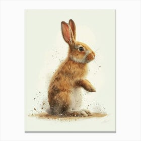 Polish Rex Rabbit Nursery Illustration 4 Canvas Print