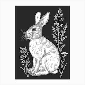 Beveren Rabbit Minimalist Illustration 1 Canvas Print