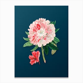 Vintage Rhododendron Flower Botanical Art on Teal Blue n.0441 Canvas Print