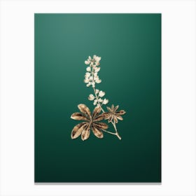Gold Botanical Half Shrubby Lupine Flower on Dark Spring Green n.0337 Canvas Print