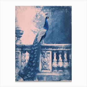 Peacock Outside Teh Palace Cyanotype Inspired Canvas Print