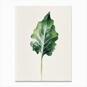 Turnip Leaf Minimalist Watercolour 2 Canvas Print