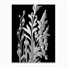 Larkspur Wildflower Linocut 1 Canvas Print