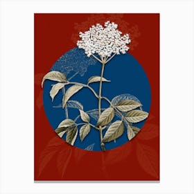Vintage Botanical Elderflower Tree on Circle Blue on Red n.0169 Canvas Print