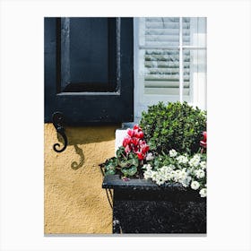 Flower Box III Canvas Print