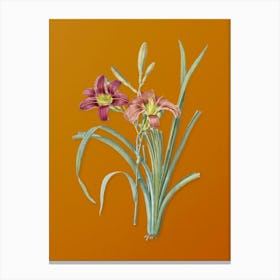 Vintage Orange Day Lily Botanical on Sunset Orange n.0828 Canvas Print