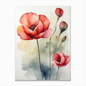 Poppies 9 Canvas Print