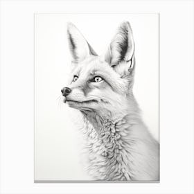 Bengal Fox Portrait Pencil Drawing 7 Canvas Print