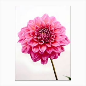 Dahlia 14 Canvas Print