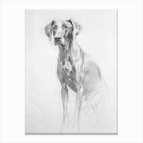 Vizsla Dog Charcoal Line 3 Canvas Print
