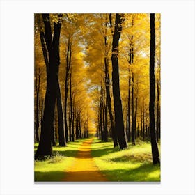 Yellow Path In The Forest 3 Canvas Print