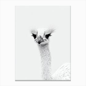 Emu B&W Pencil Drawing 3 Bird Canvas Print