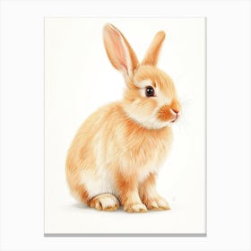 Chinchilla Rabbit Nursery Illustration 2 Canvas Print