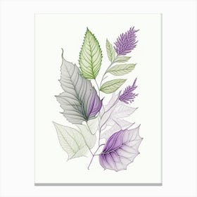 Lavender Leaf 3 Canvas Print