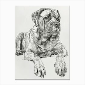 Mastiff Dog Line Sketch Canvas Print