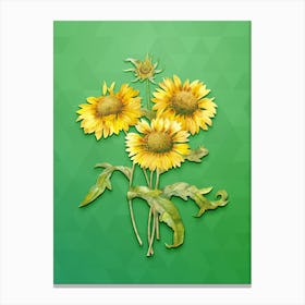 Vintage Blanket Flowers Botanical Art on Classic Green n.0431 Canvas Print