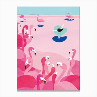 Pink On Lookers Canvas Print
