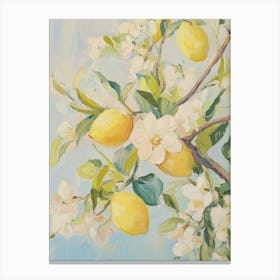 Lemon Blossoms Canvas Print