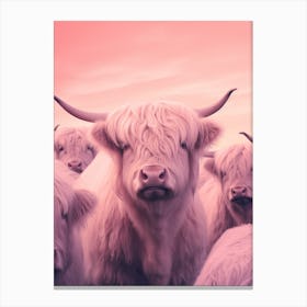 Herd Of Highland Cow Cattle Gradient 2 Canvas Print