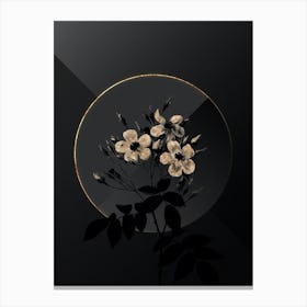 Shadowy Vintage Musk Rose Botanical on Black with Gold n.0131 Canvas Print