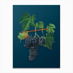 Vintage Lacrima Grapes Botanical Art on Teal Blue n.0152 Canvas Print