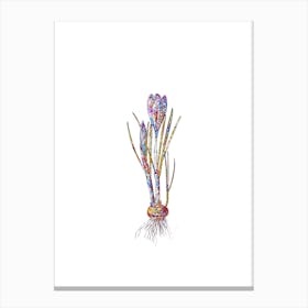 Stained Glass Spring Crocus Mosaic Botanical Illustration on White n.0343 Canvas Print