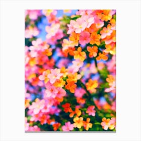 Pink Jasmine Colourful Illustration Plant Canvas Print