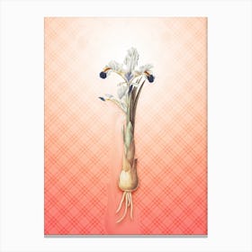 Iris Persica Vintage Botanical in Peach Fuzz Tartan Plaid Pattern n.0185 Canvas Print