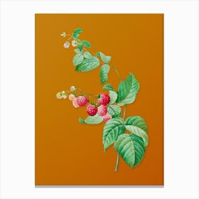 Vintage Red Berries Botanical on Sunset Orange n.0782 Canvas Print