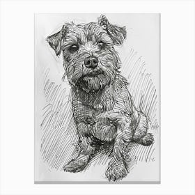 Norfolk Terrier Dog Line Sketch 1 Canvas Print