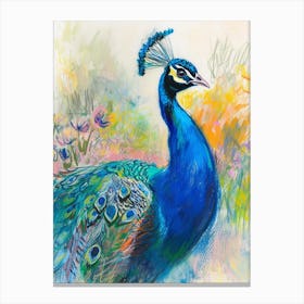 Peacock Sketch Portrait 3 Canvas Print