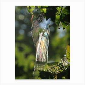 Rainbows in a web, shot in a million Canvas Print