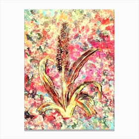 Impressionist Eucomis Punctata Botanical Painting in Blush Pink and Gold Canvas Print