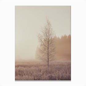 Waiting For Winter Canvas Print