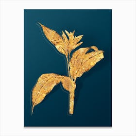 Vintage Lobster Claws Botanical in Gold on Teal Blue Canvas Print