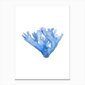 Watercolor Blue Coral 1 Canvas Print