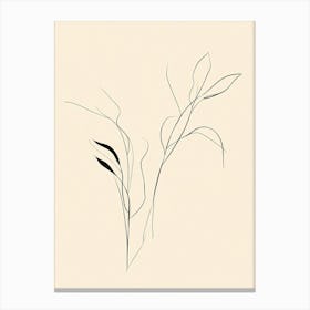 Two Leaves On A Beige Background Canvas Print