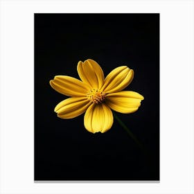 Yellow Flower On Black Background Stampe su tela