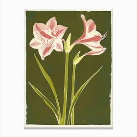 Pink & Green Amaryllis 1 Canvas Print