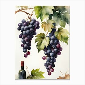 Vines,Black Grapes And Wine Bottles Painting (24) Canvas Print