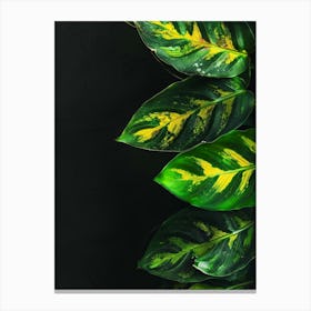 Green Leaves On Black Background 1 Canvas Print