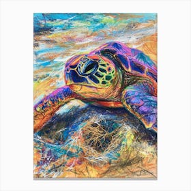 Rainbow Sea Turtle Scribble On The Beach Canvas Print
