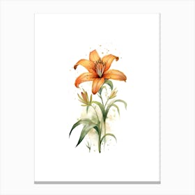 Orange Lily Canvas Print