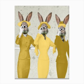 Rabbit Ladies Spying On You Canvas Print